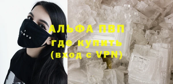 индика Нягань