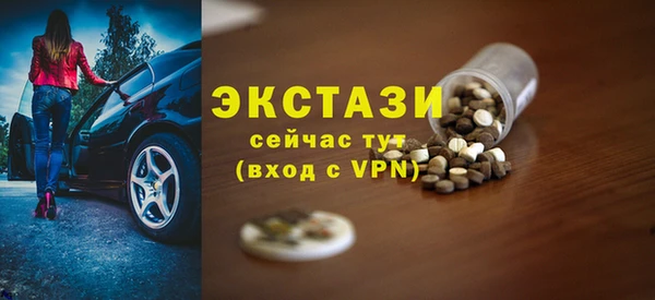 индика Нягань