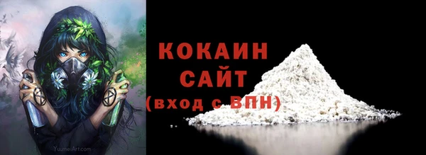 индика Нягань