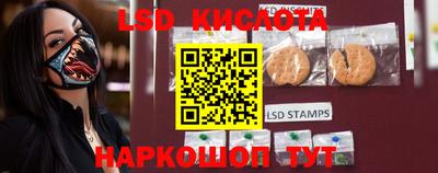 индика Моздок