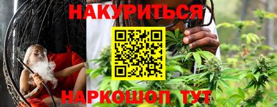 индика Моздок