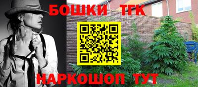 индика Моздок
