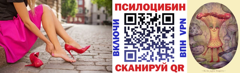 Псилоцибиновые грибы Psilocybine cubensis  дарнет шоп  Усть-Илимск 